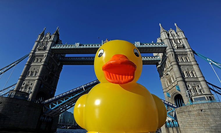 Giant rubber duck thrills London   in pictures UK news The