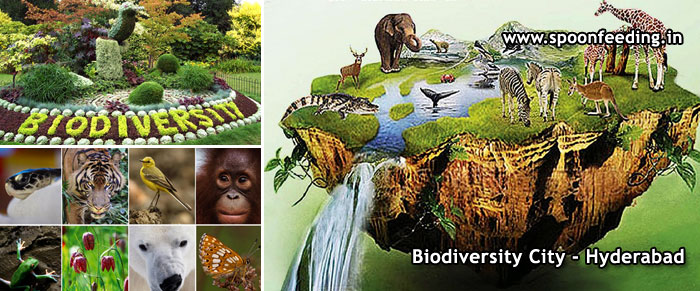 Why Is Biodiversity Important Wallpaper