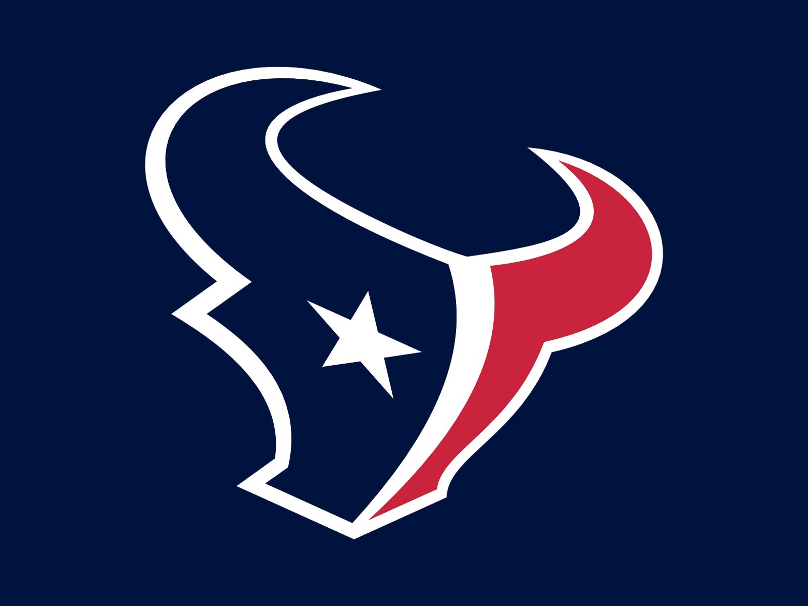 Houston Texans Team Logo Blue 1600x1200 STANDARD Image Sports NFL