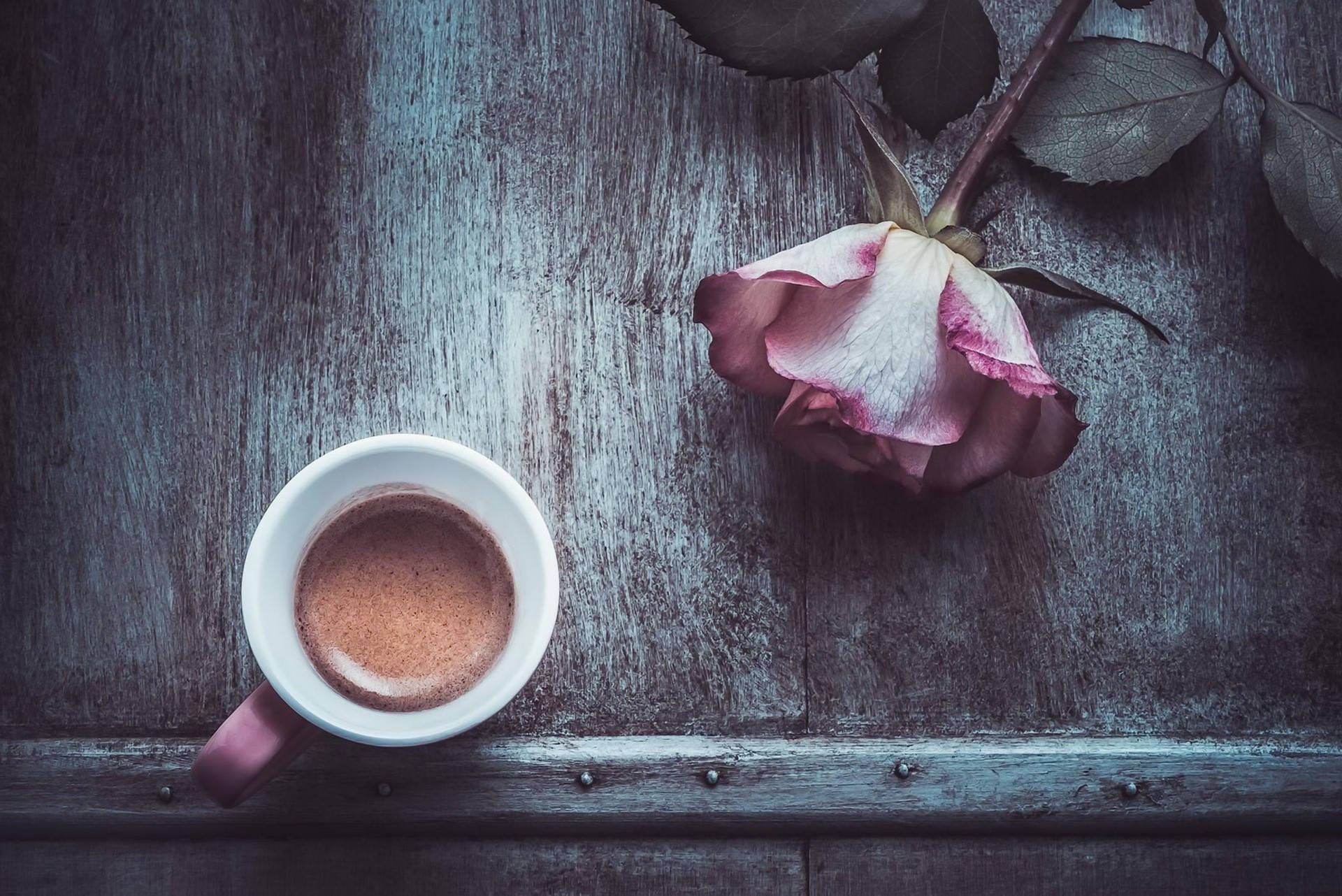 Coffee Aesthetic Wallpaper