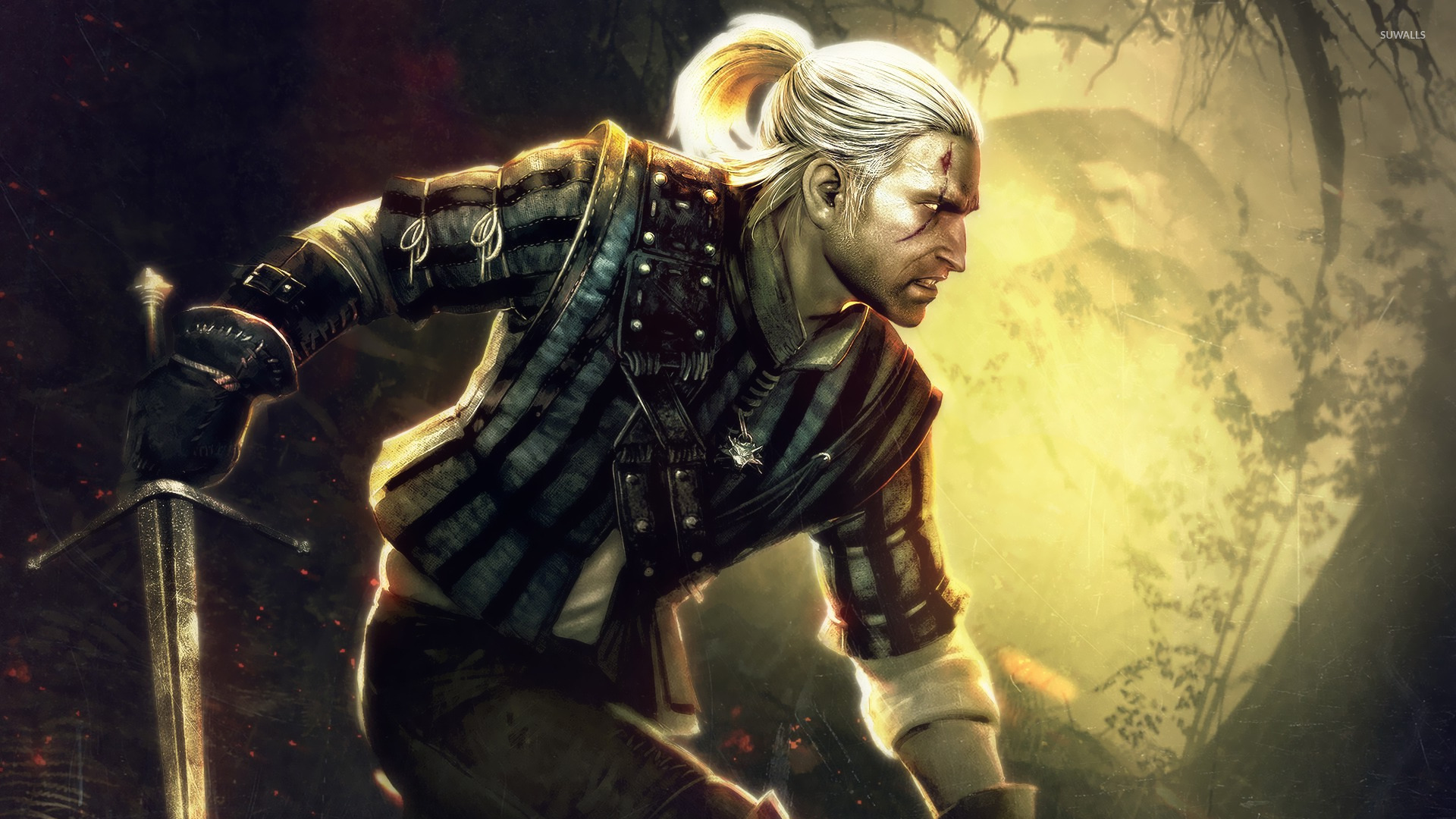 Geralt The Witcher Assassins Of Kings Wallpaper Game