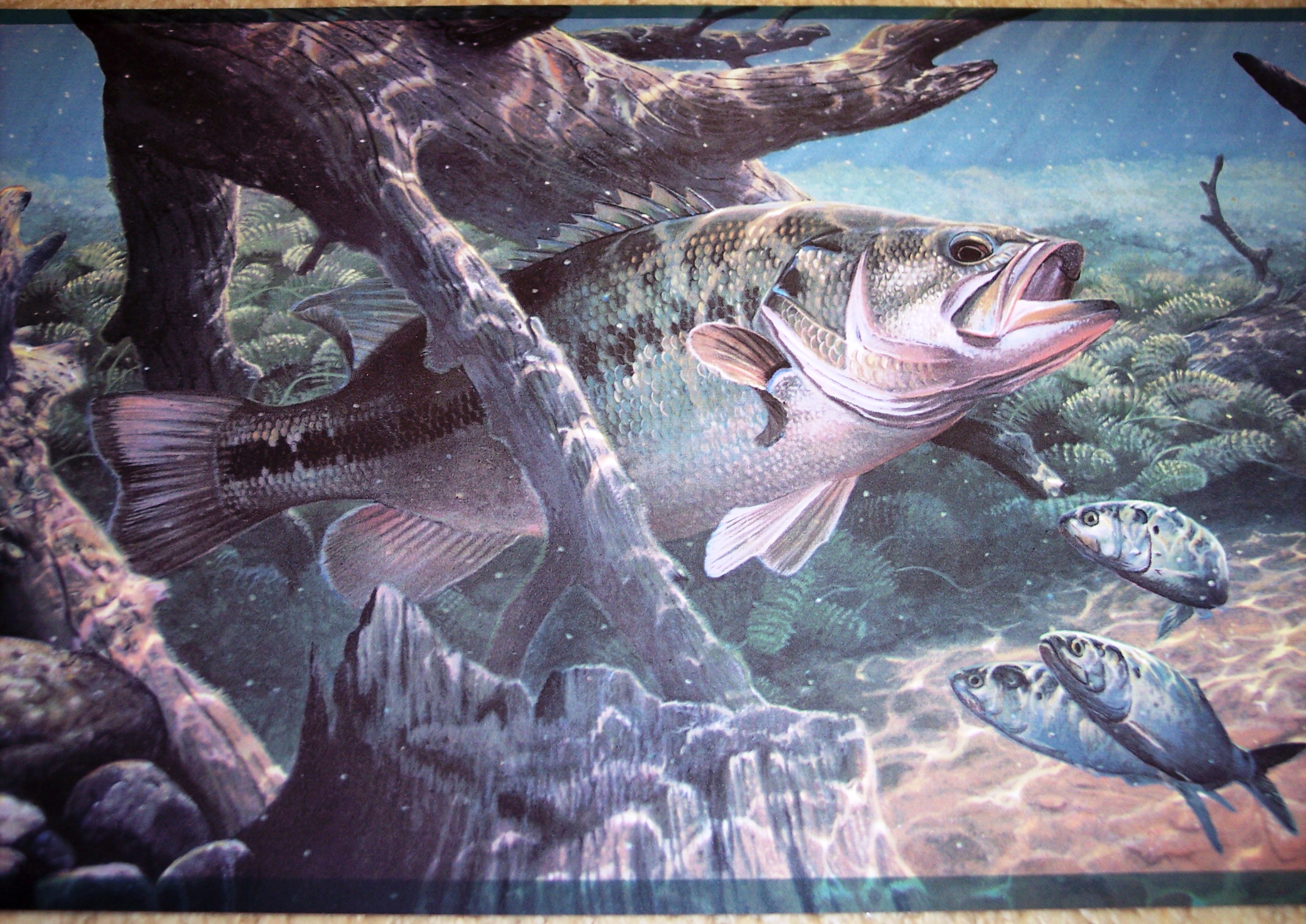 Bass Fishing Art Wallpaper