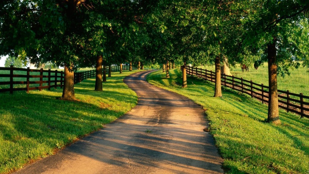 Fascinating Summer Country Road Desktop Wallpaper