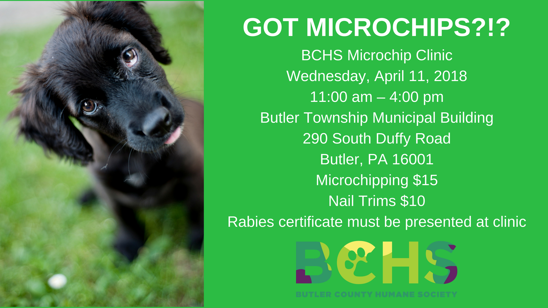 Bchs Microchip Clinic Butler County Humane Society