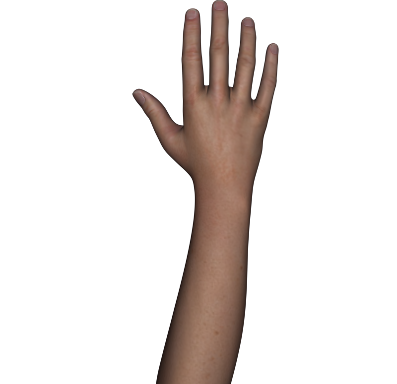 Transparent Arms Background Picture