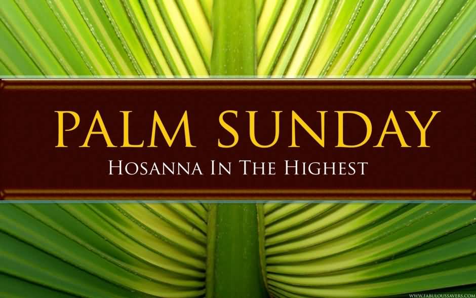 Beautiful Palm Sunday Greeting Pictures And Image