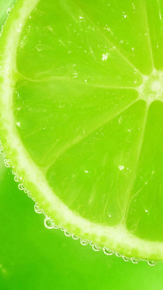 Fresh Lemons Slice Dew iPhone Wallpaper
