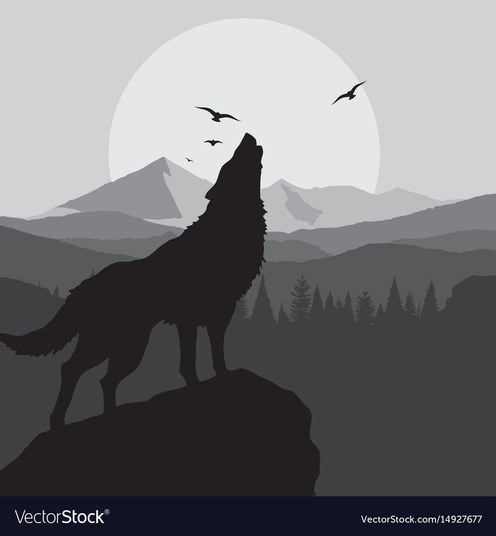 Wolf Howling Background In Grey Color Royalty Vector