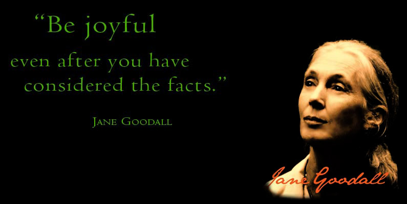 Jane Goodall S Quotes Famous And Not Much Sualci