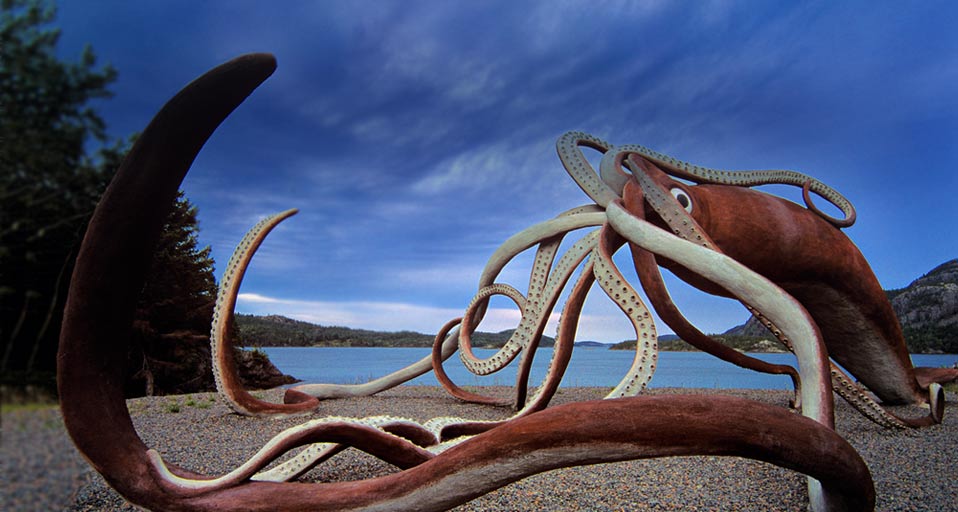 Bing Images   Giant Squid   Giant Squid Monument at Glovers Harbour 958x512