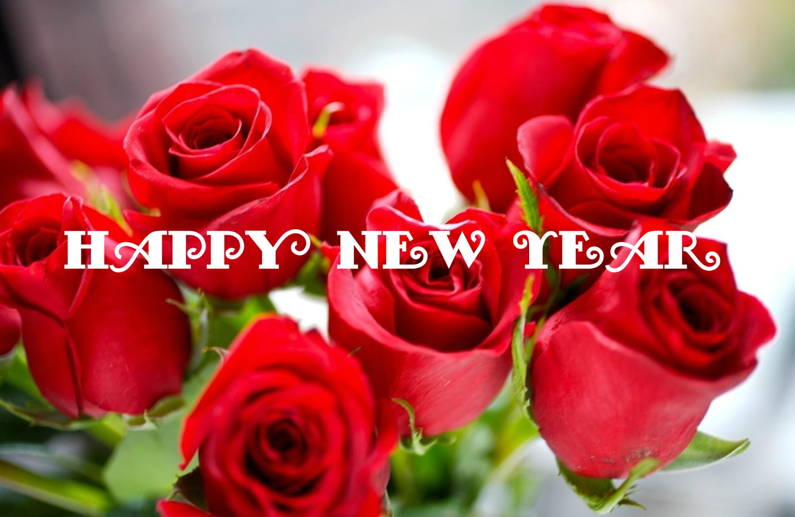 Happy New Year Flowers Photo Bouquets Wallpaper