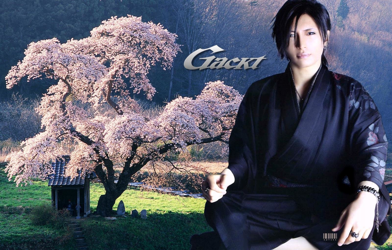 HD Gackt Pc Background Id For