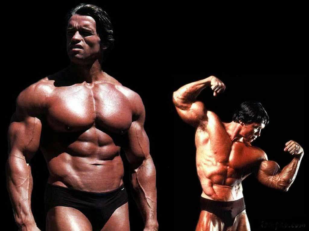 Arnold Schwarzenegger Bodybuilding Wallpaper Jpg