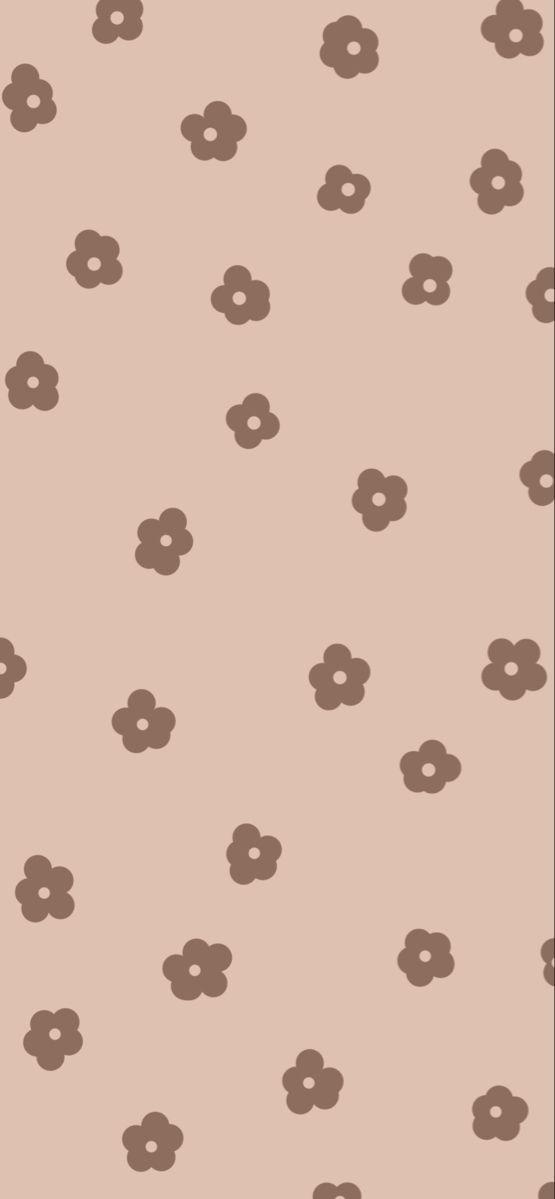 Brown Flower Wallpaper Color iPhone