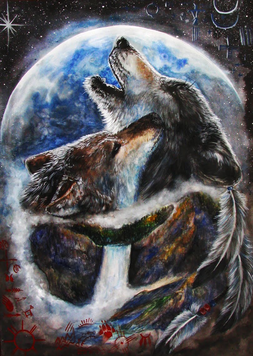 American Indian Art Wolf Native Americans Wolves