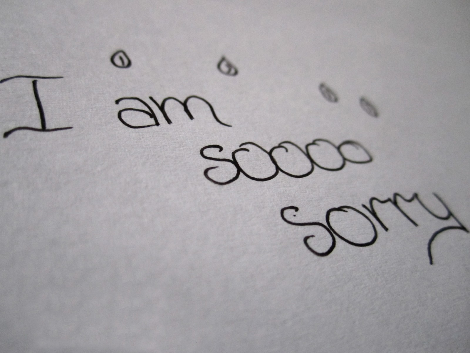 I Am So Sorry Image Daily Pics Update HD Wallpaper