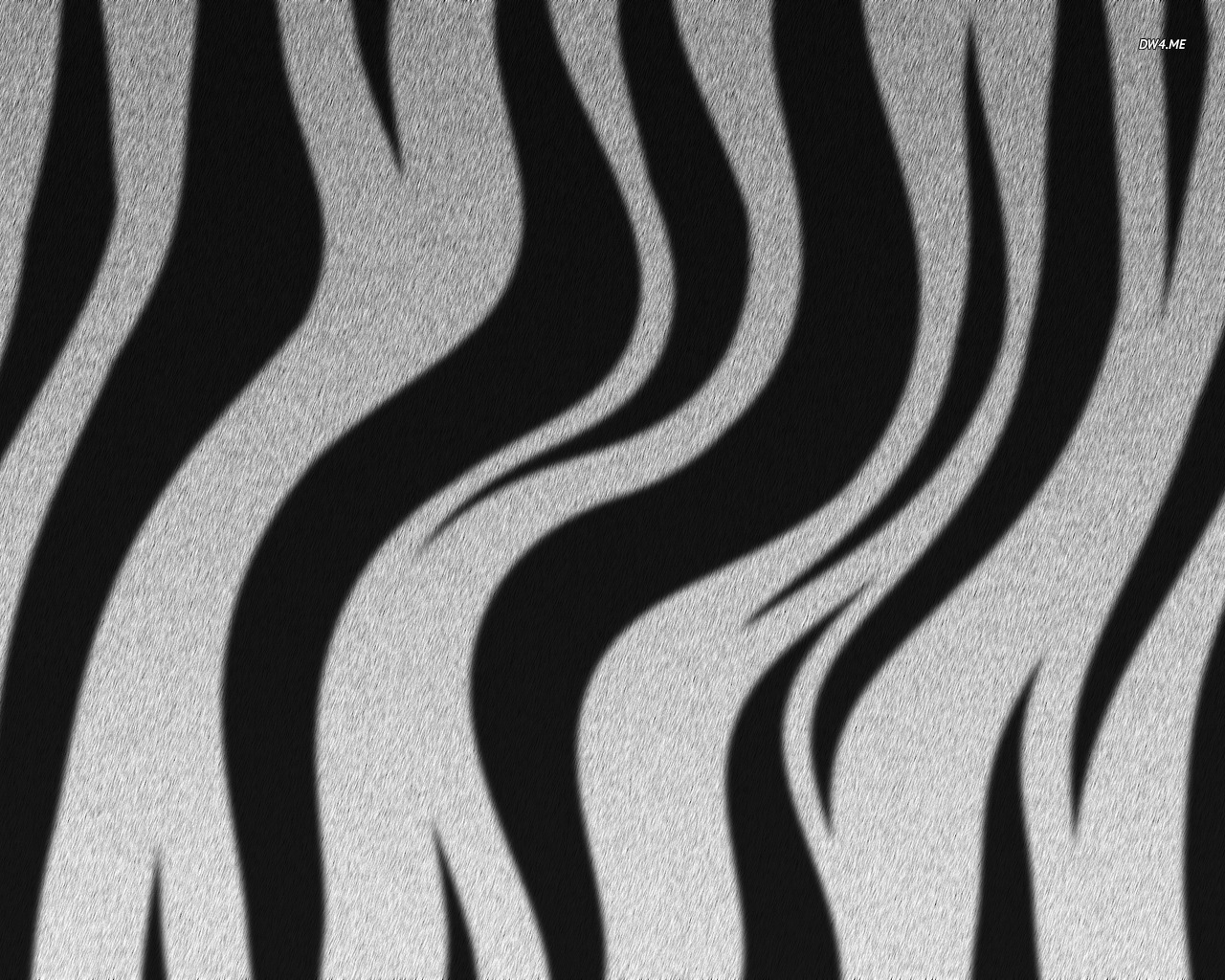 Zebra Stripes Wallpaper Digital Art