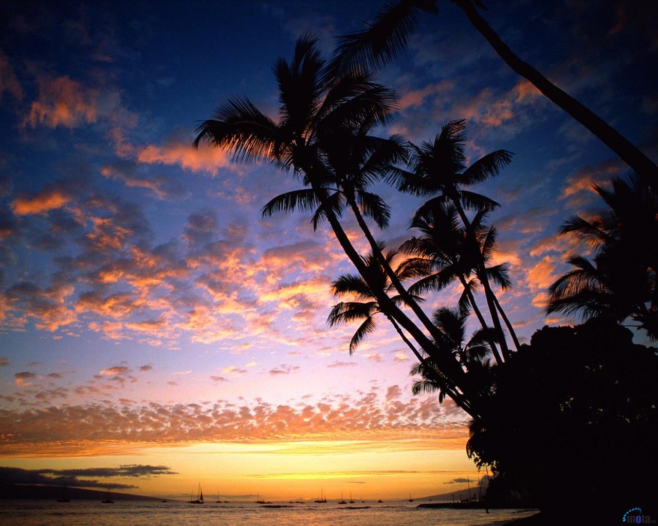 Wallpaper Hawaii Sunset
