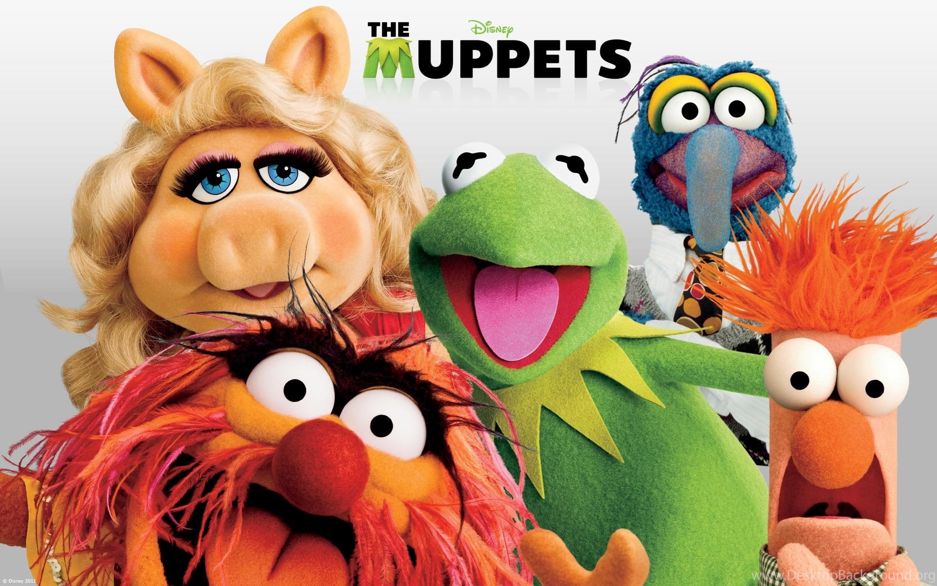 The Muppets Animal Wallpaper Desktop Background