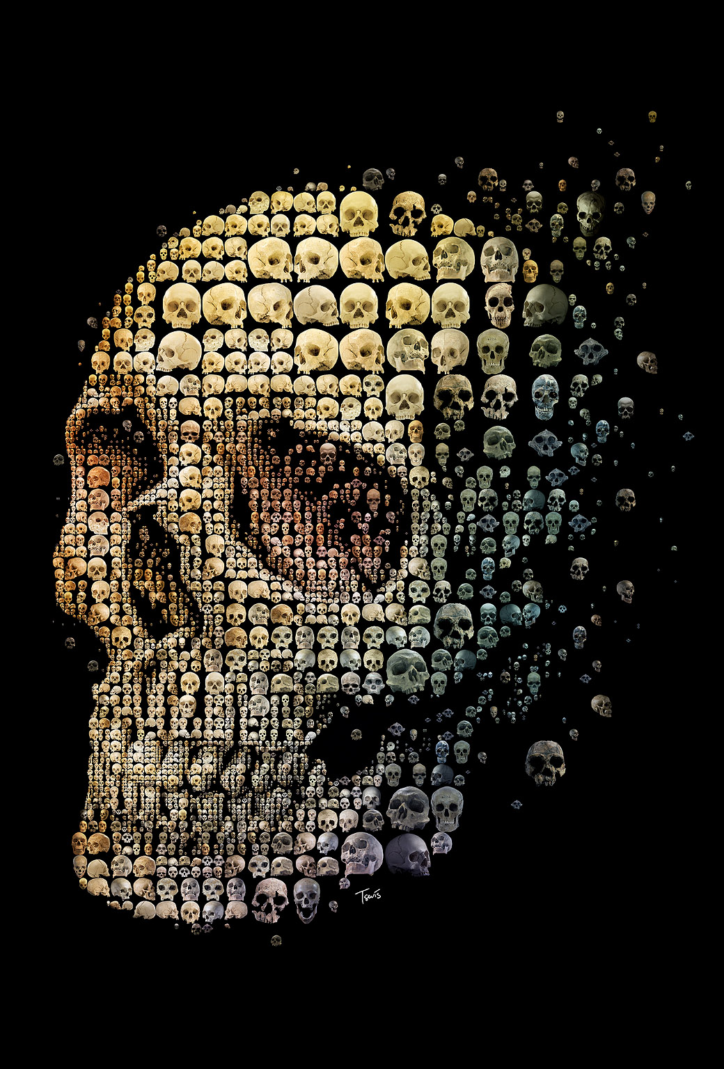 Displaying Image For iPhone Wallpaper Skull