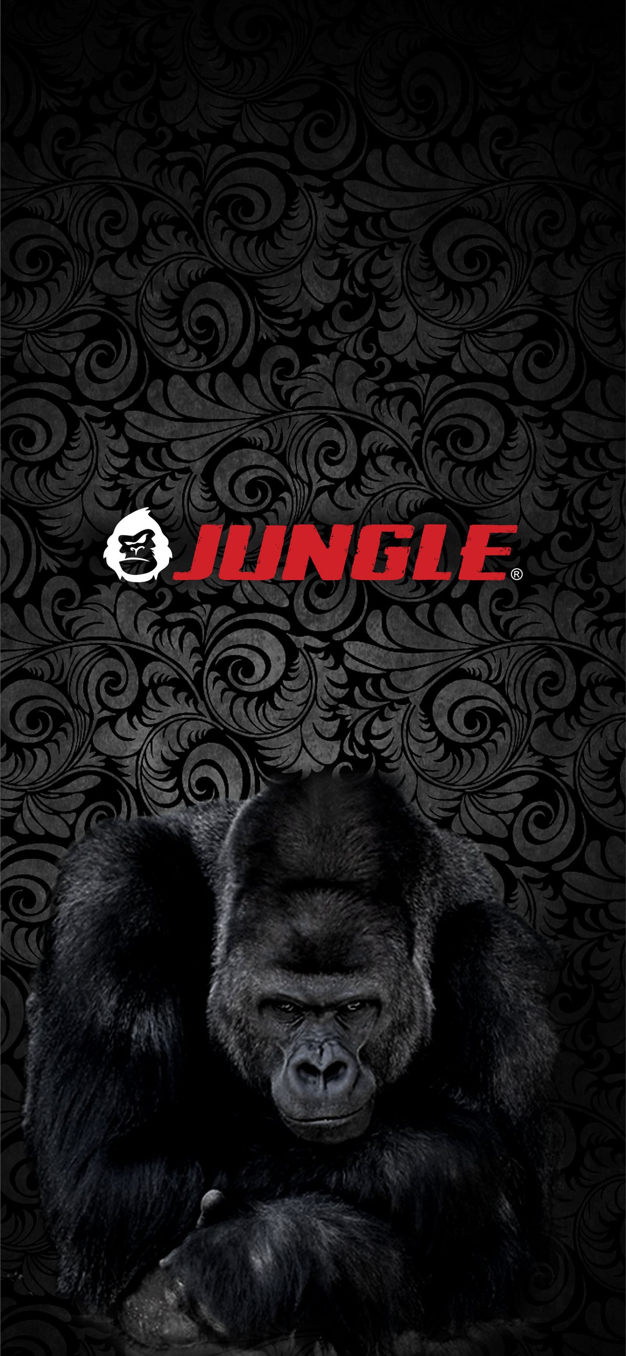 Best Gorilla iPhone HD Wallpaper