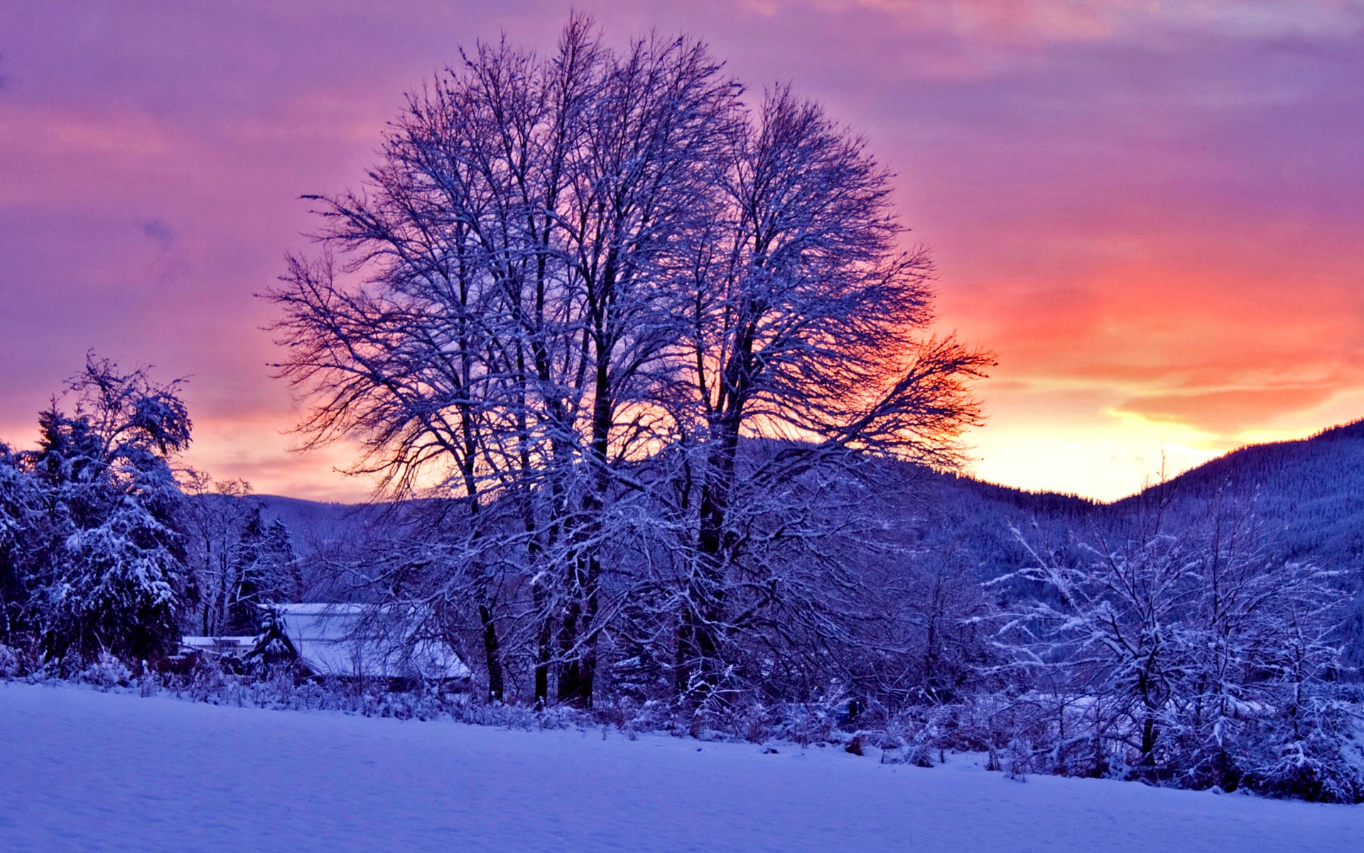 Winter Sunset HD Background Wallpaper Source
