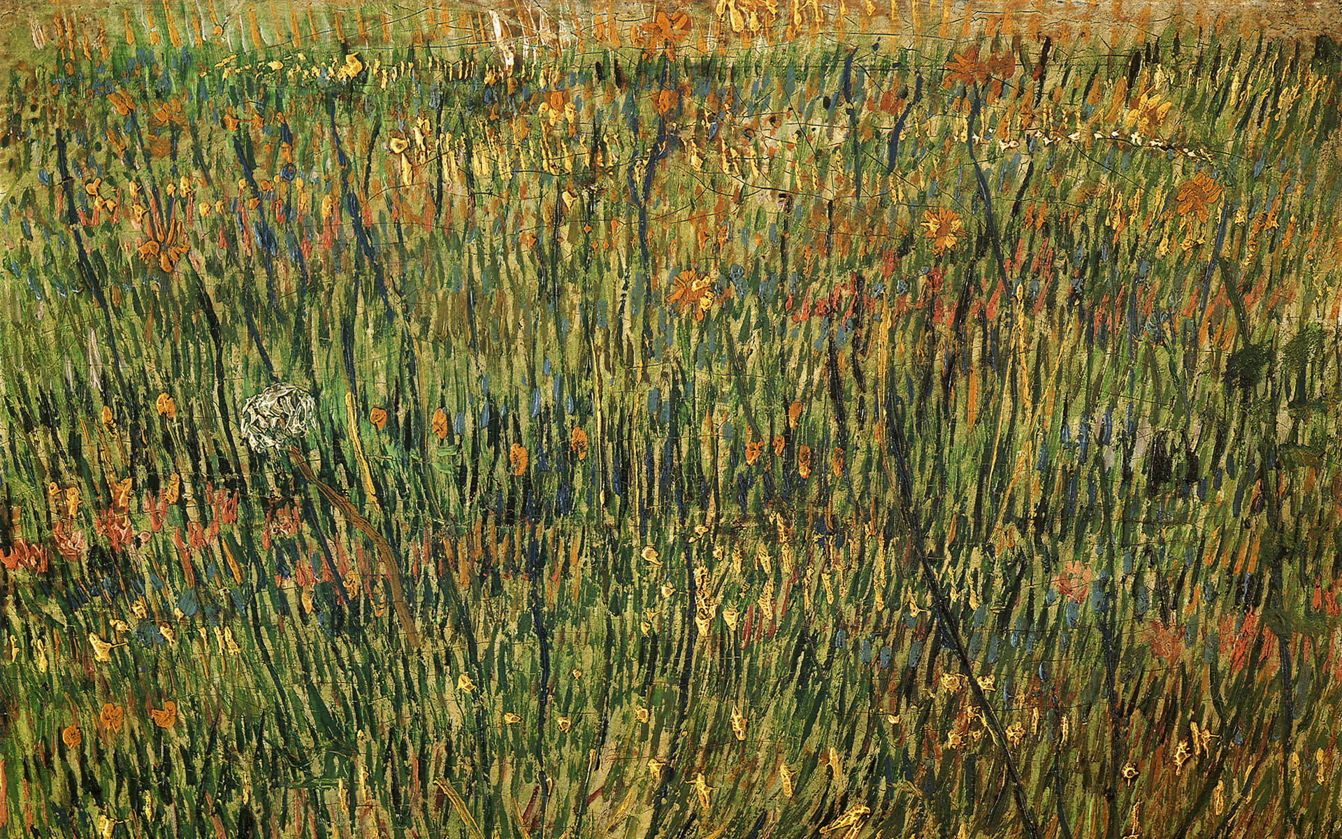 Wallpaper Van Gogh Animaatjes