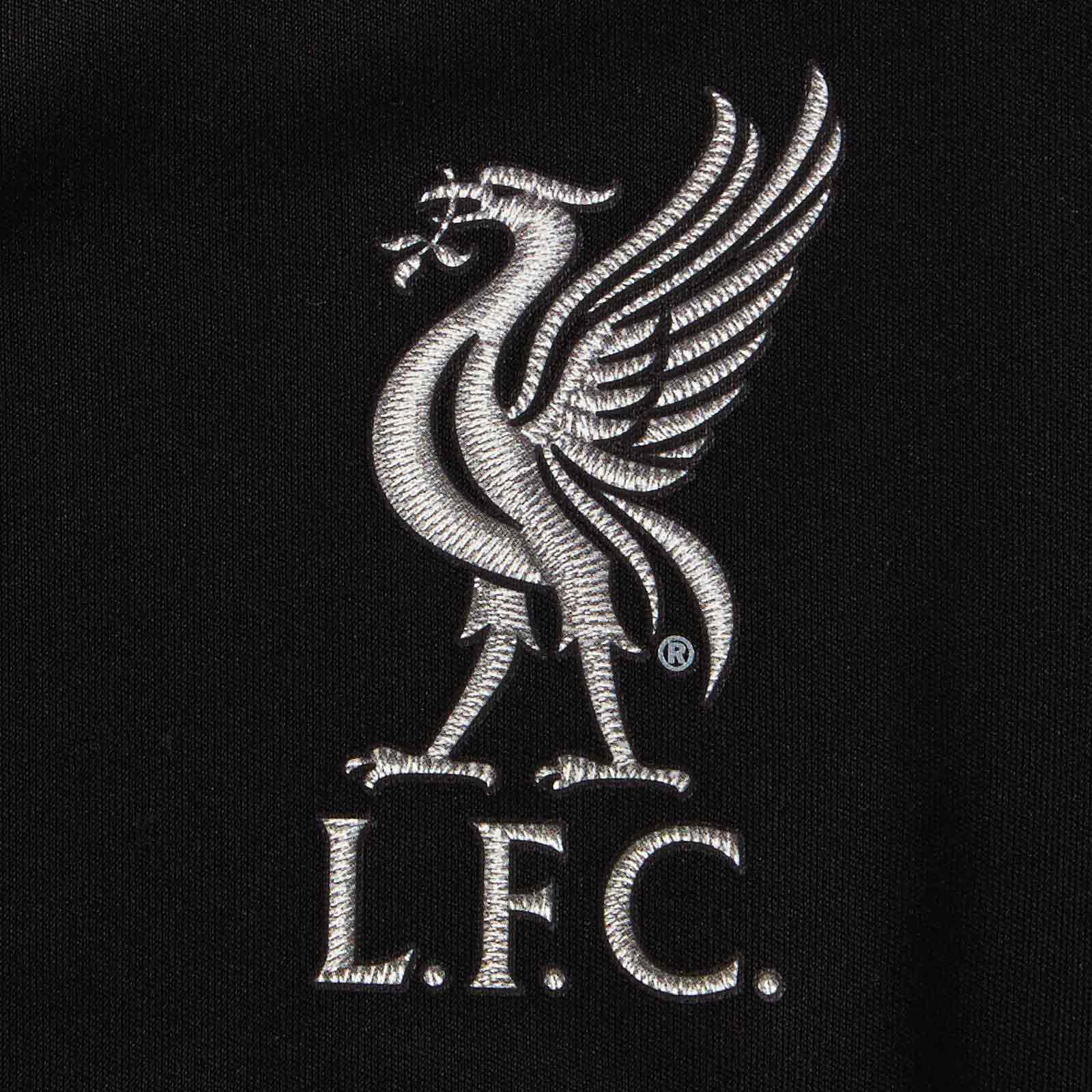 Liverpool 201617 Away Kit Launched