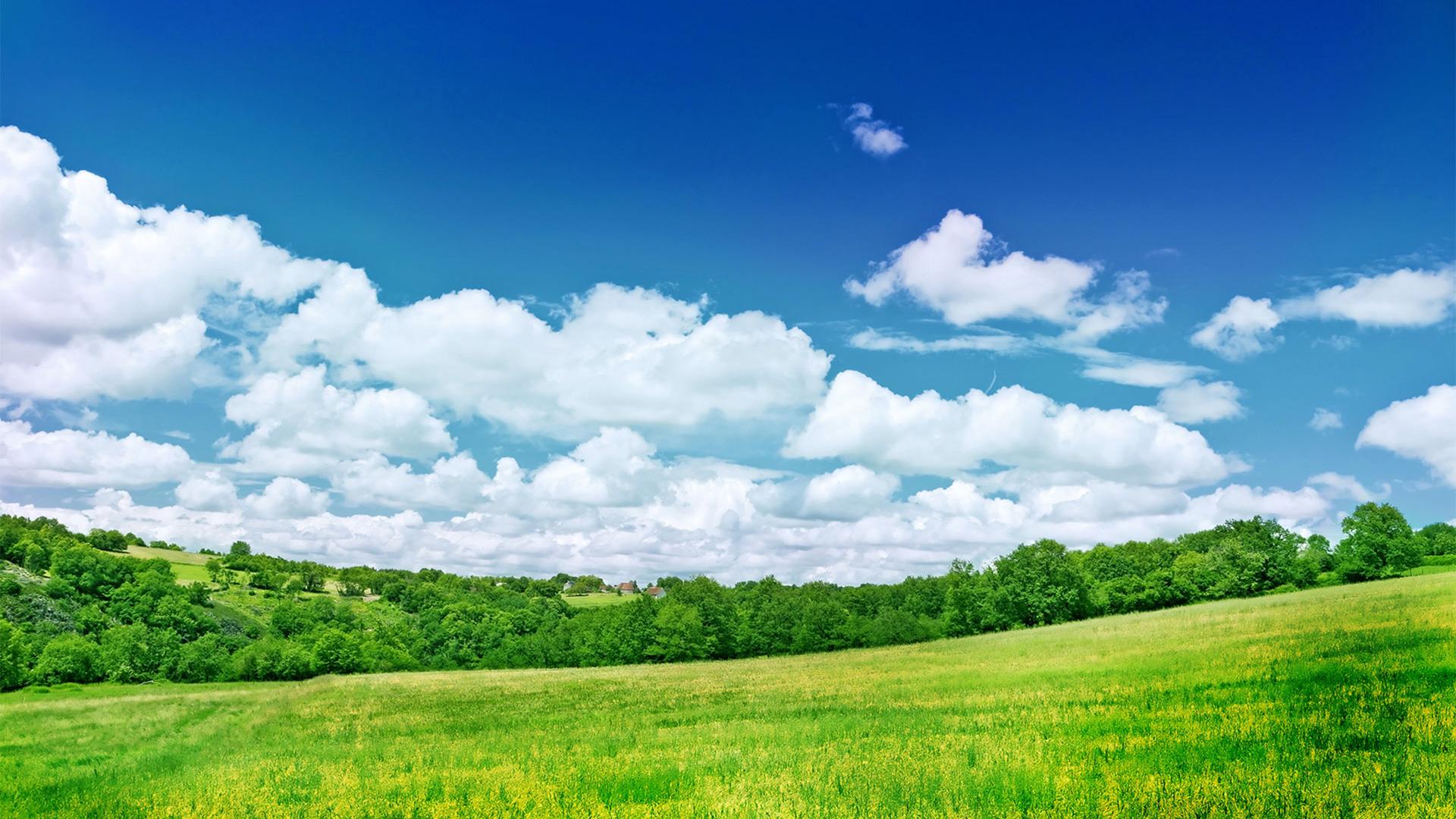 Grassland Scenery Background Widescreen And HD Background Wallpaper