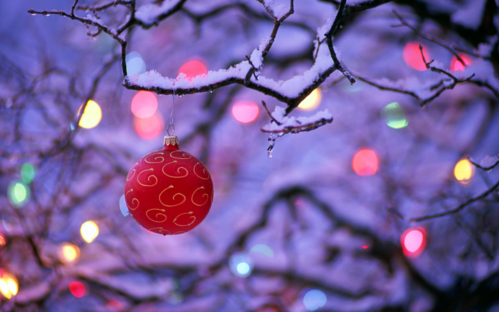 Winter And Christmas Desktop Background Html Red Ball On Branch