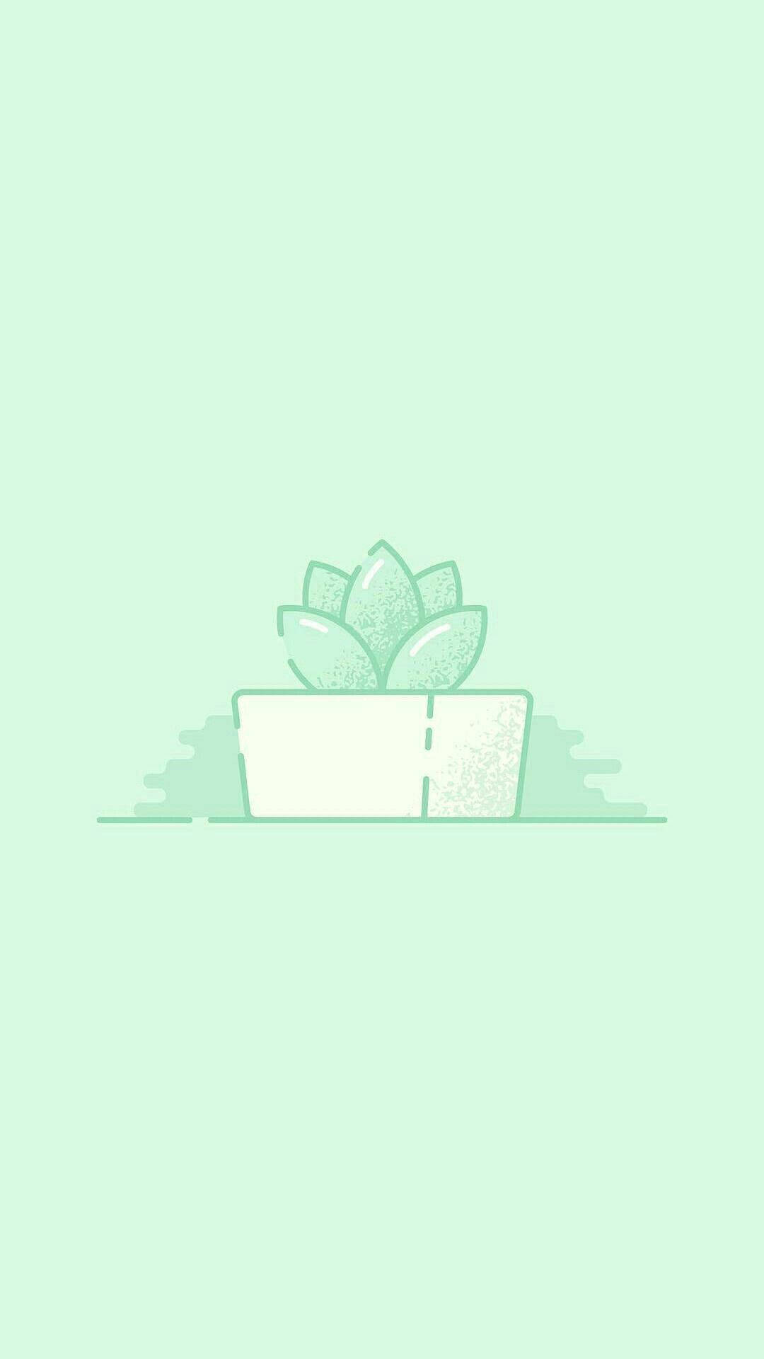 A minimalist mint green wallpaper featuring a small succulent plant in a white pot