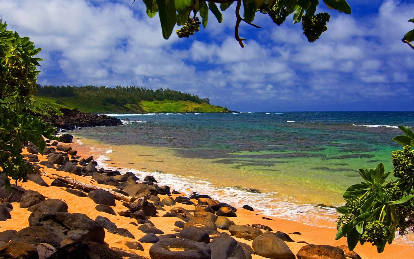 Hawaii Pic Or Photo Tunnels Beach Kauai Hawaii Free Desktop Wallpaper
