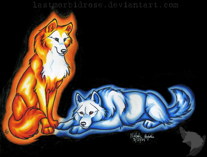 Fire And Ice Wolves Fighting Image Pictures Becuo