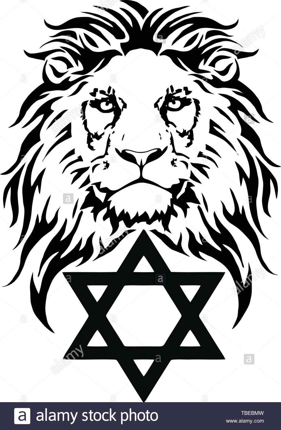 The Lion And Symbol Of Judaism Star David Megan