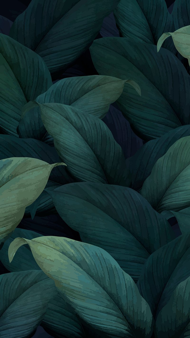 iPhone Wallpaper Dark