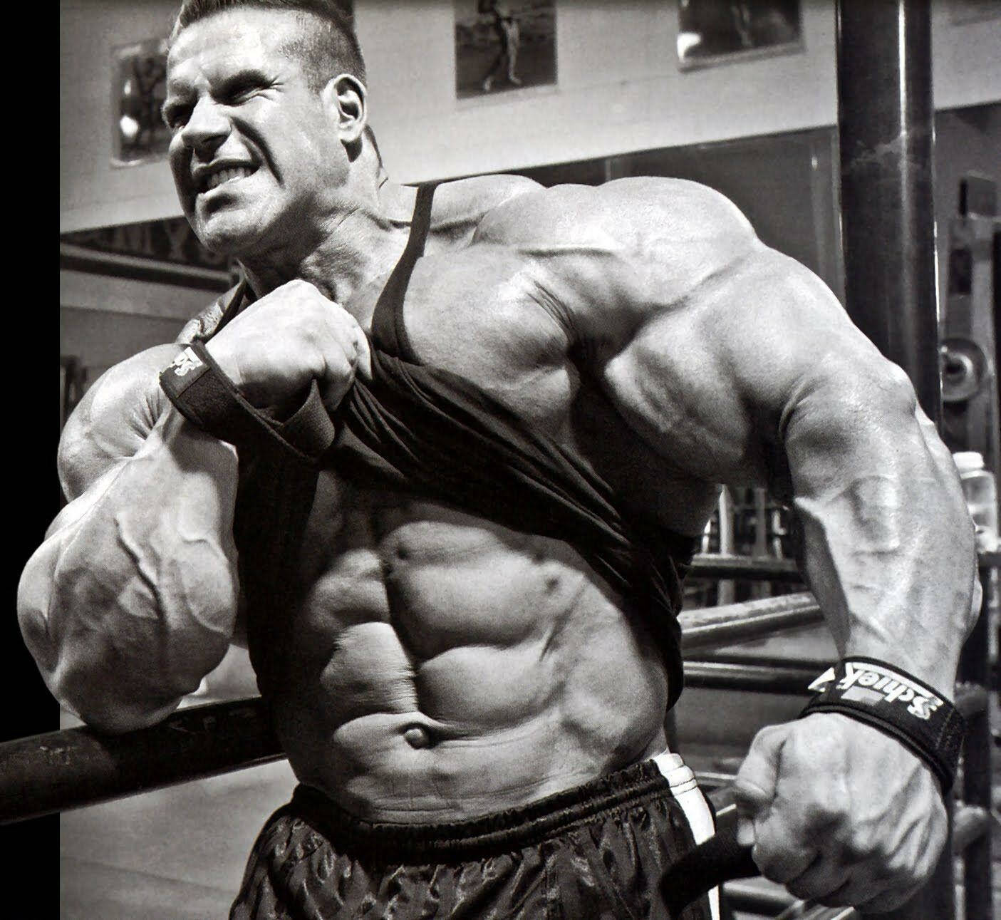 Bodybuilders HD Wallpaper
