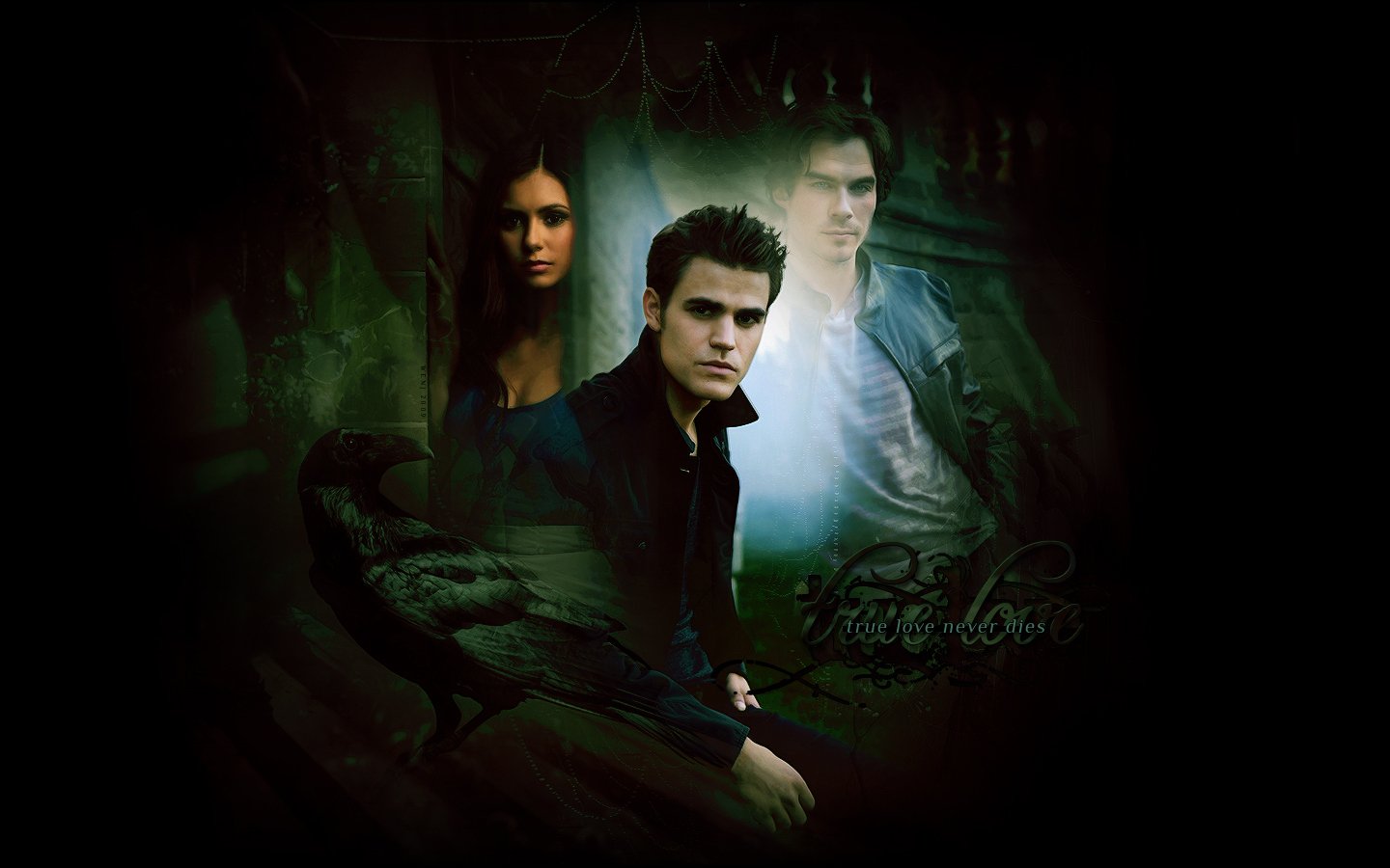 The Vampire Diaries   Damon and Stefan Salvatore Wallpaper 9294173 1440x900