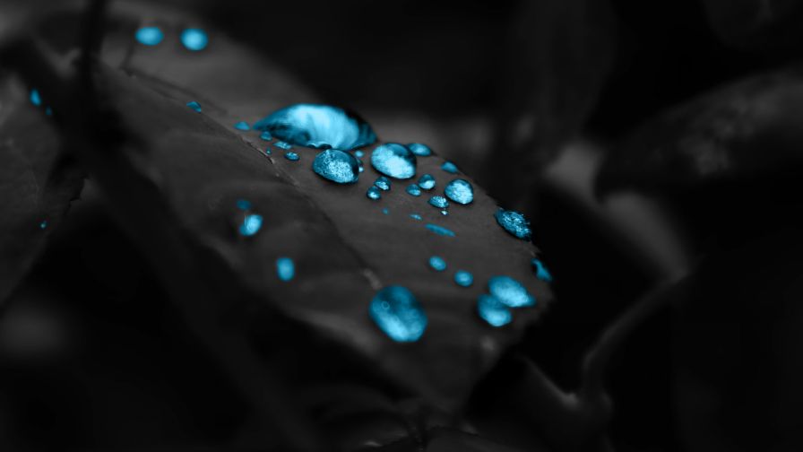 Water Drops Blue Effect Wallpaper UHD