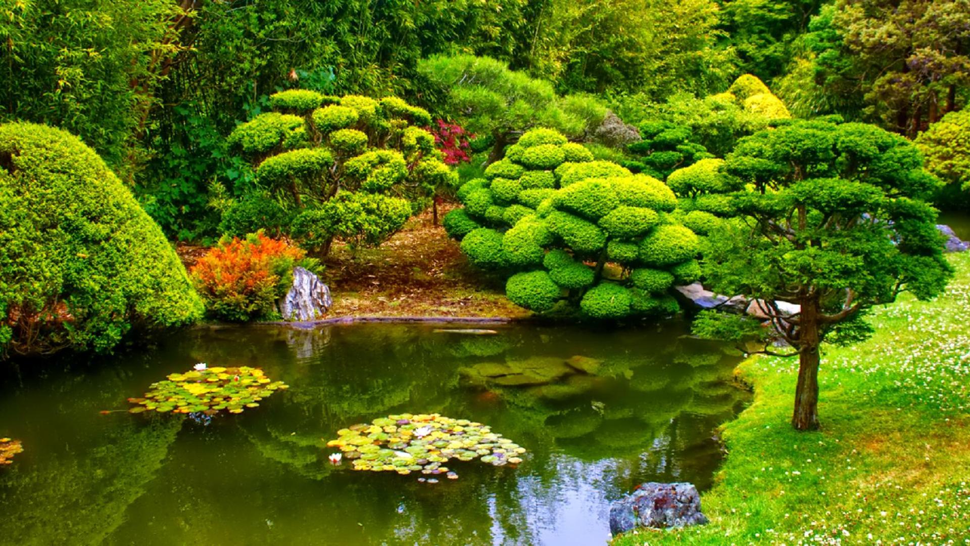 Japan Garden High Quality And Resolution Wallpaper On