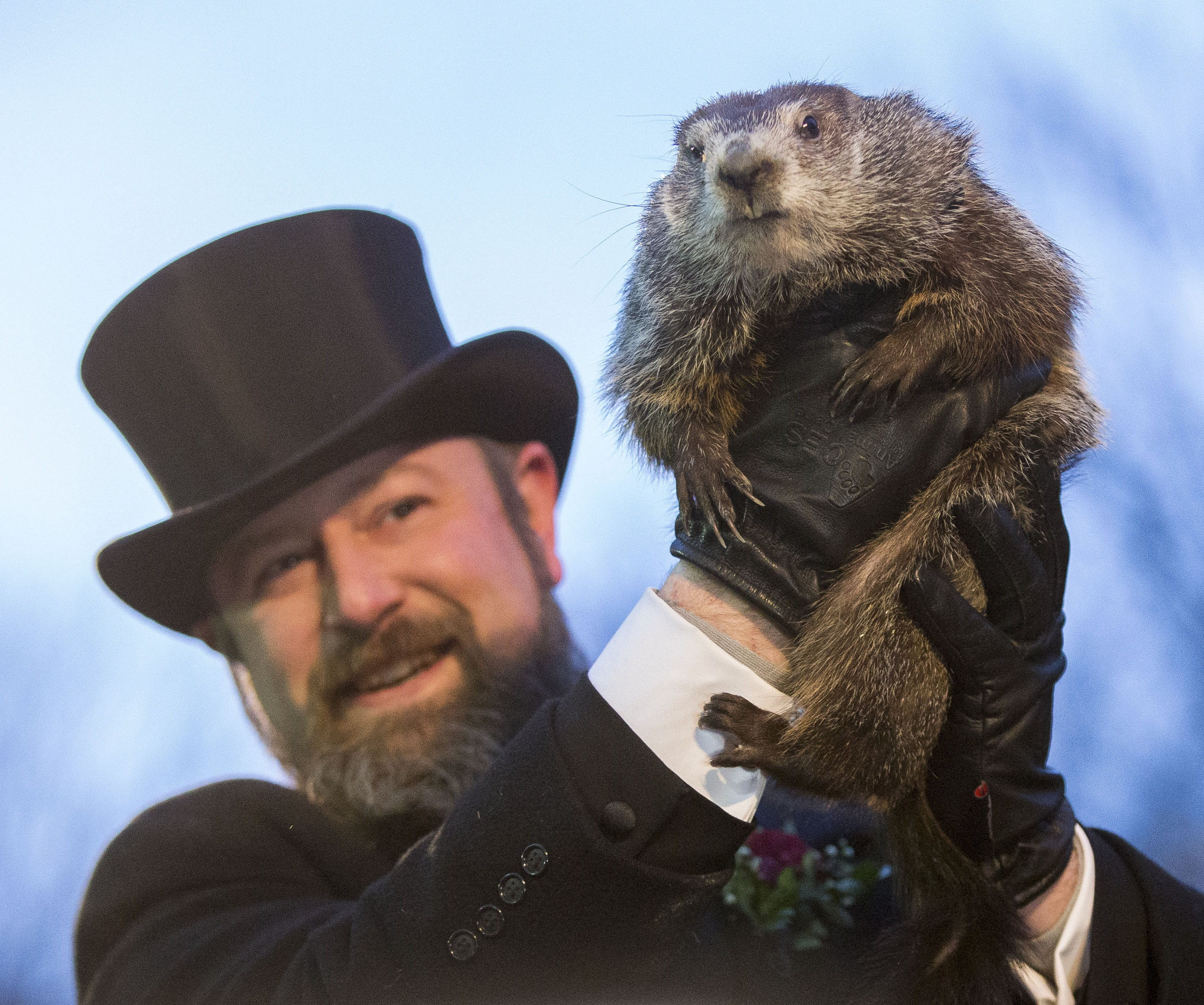 Groundhog Day What You Need To Know About Punxsutawney Phil