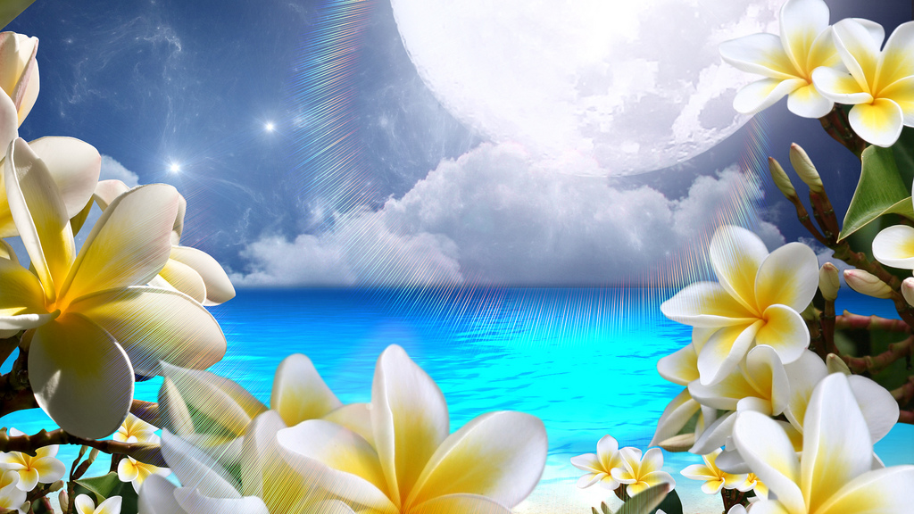 Relaxing wallpaper   frangipanis ocean moon Flickr   Photo Sharing