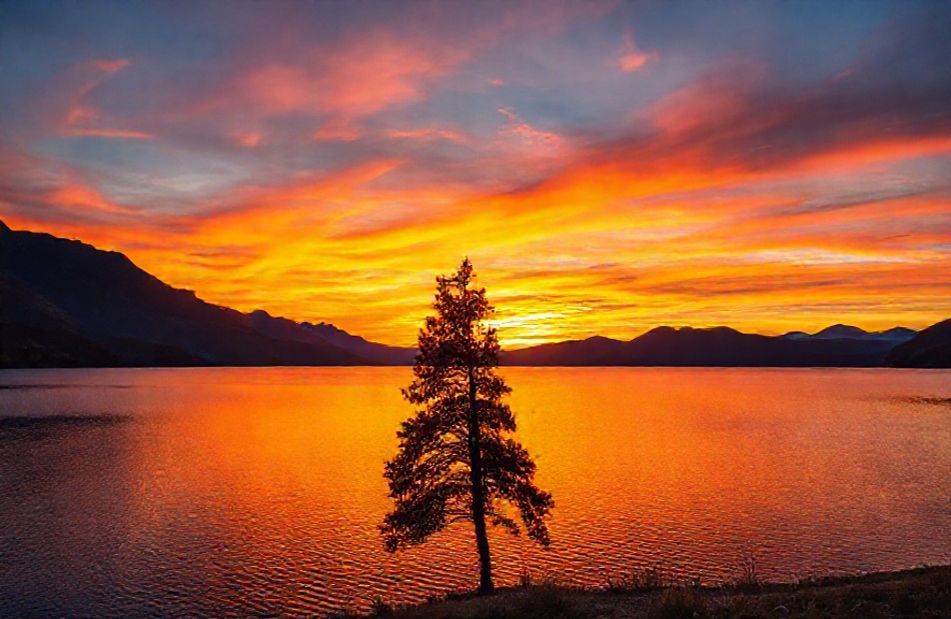 Widescreen Wallpaper