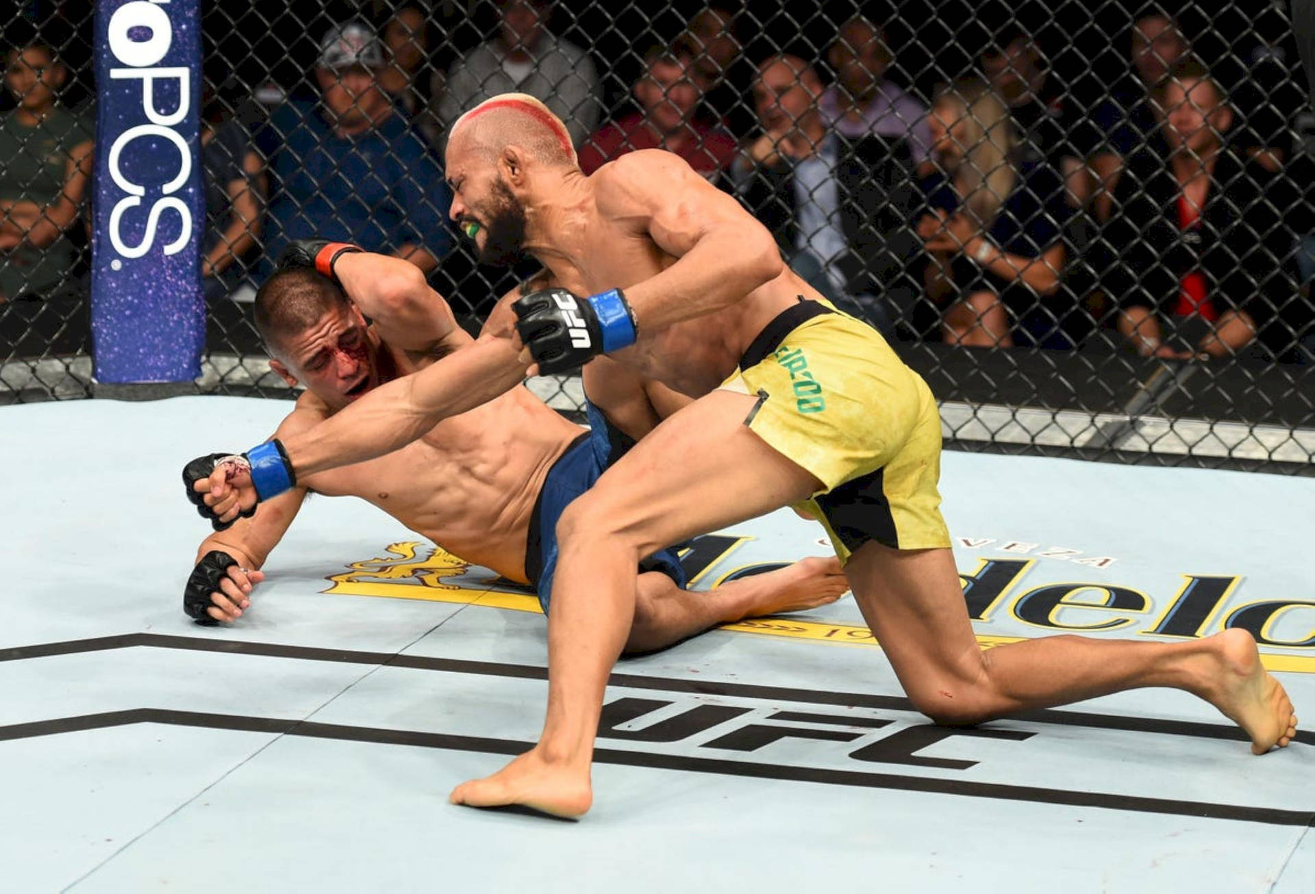 Deiveson Figueiredo Punches John Moraga Wallpaper