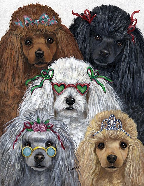 Dogs Animals Postcards Christmas Wallpaper Clipart