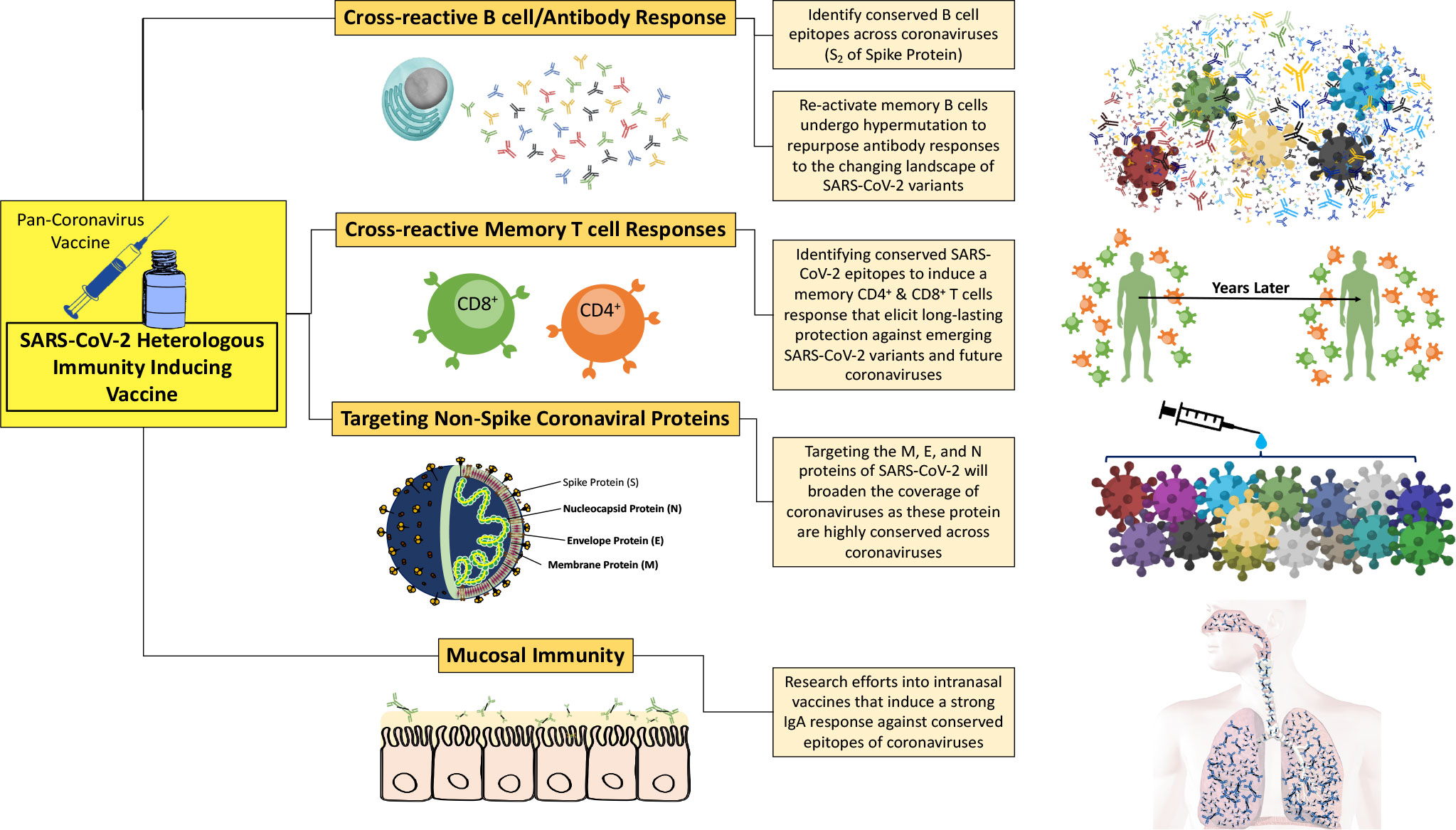 Coronavirus Wallpaper