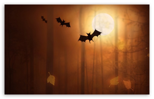 Halloween Bats HD Wallpaper For Standard Fullscreen Uxga Xga