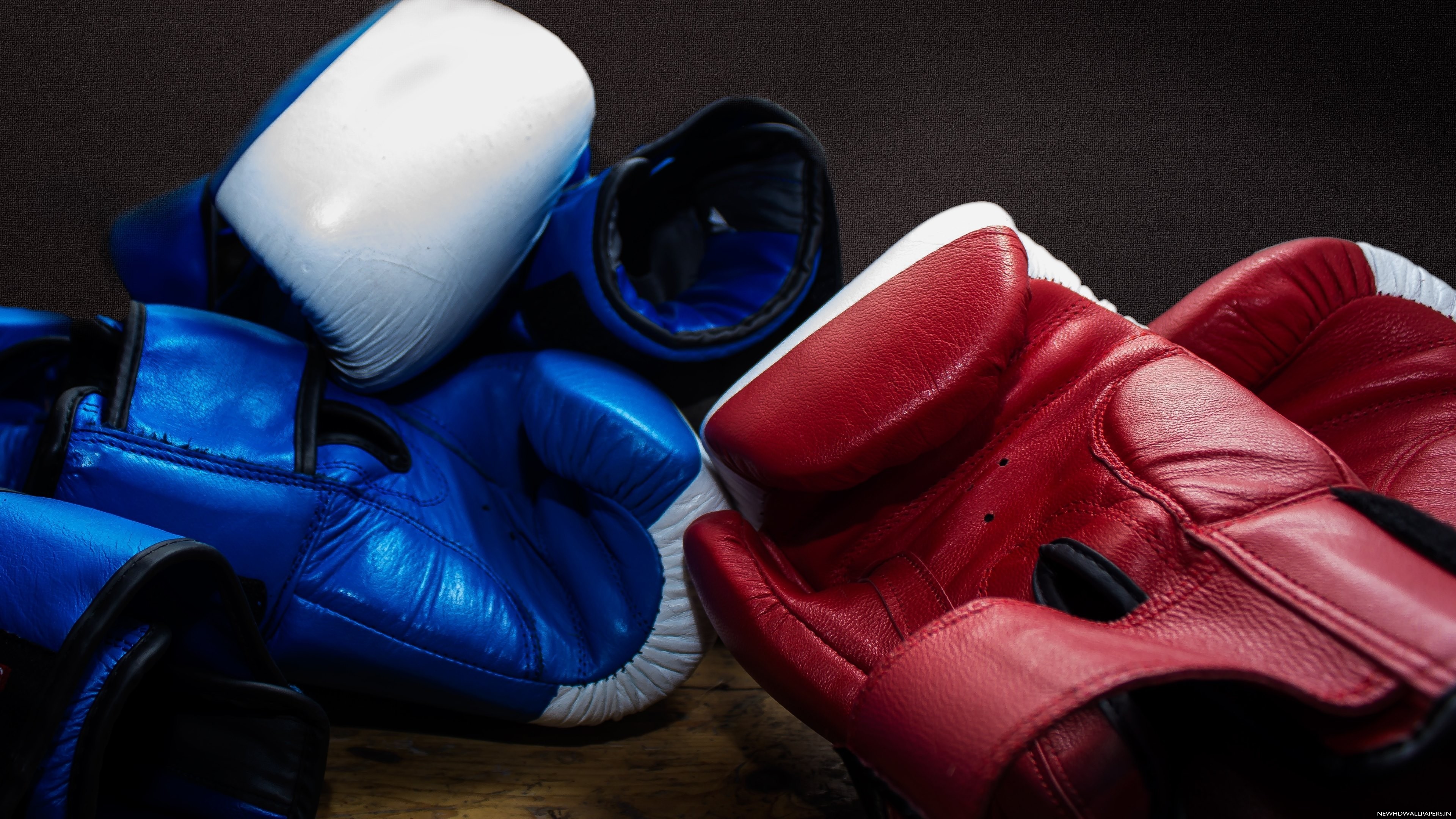 Blue Red Boxing Gloves HD Wallpaper New