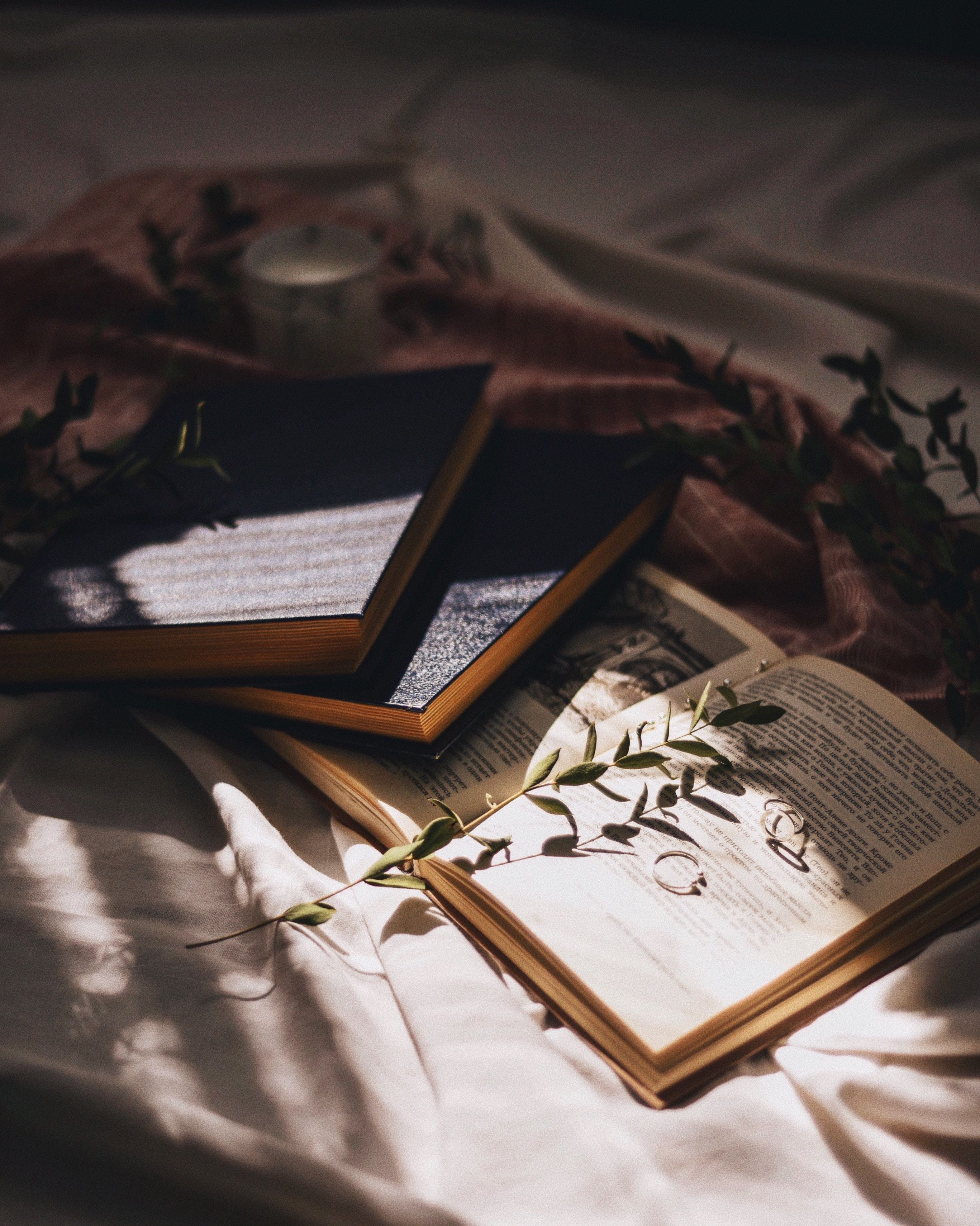 Dark Book Aesthetic Wallpaper