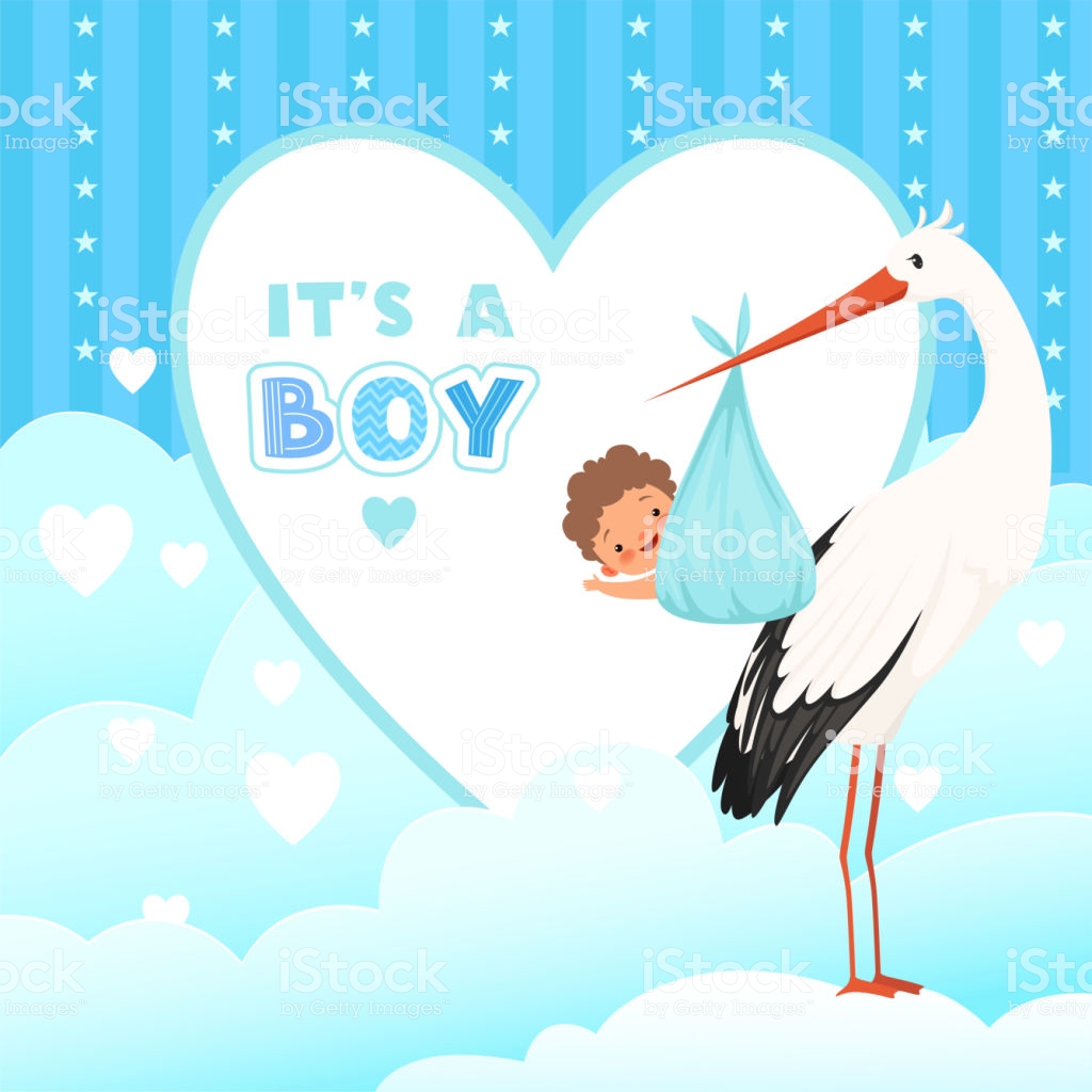 Shower Card With Stork Flying Bird With Newborn Baby Gift Vector 1024x1024