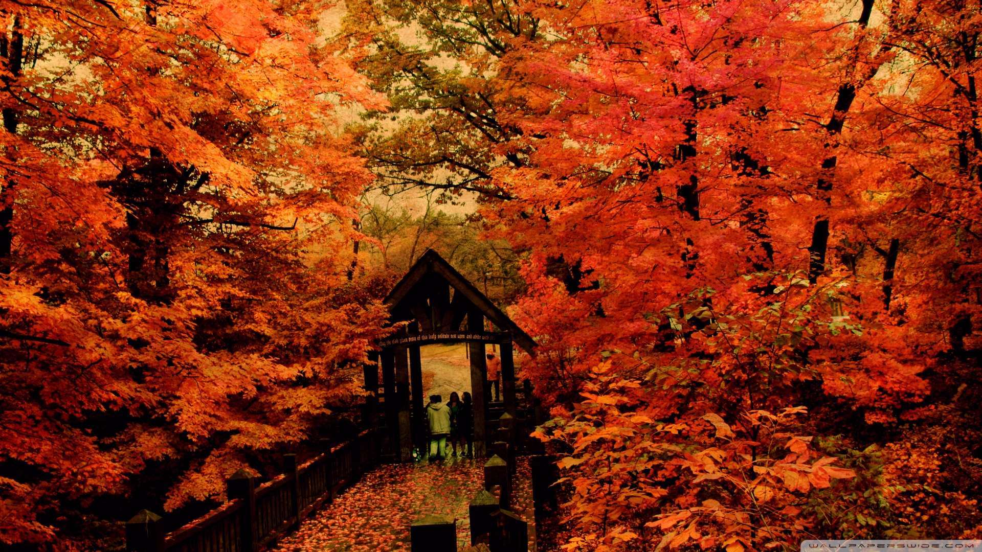 48+ Autumn HD Wallpapers 1080p on WallpaperSafari